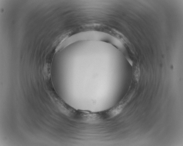 X0000080770428200701021127