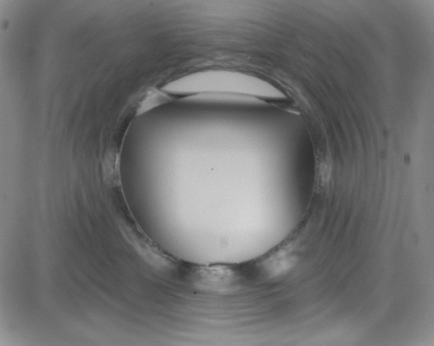 X0000080770429200701021127