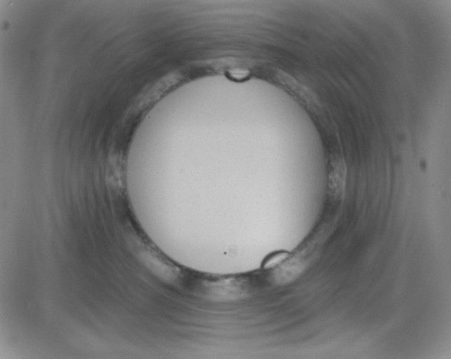 X0000080770430200701021127