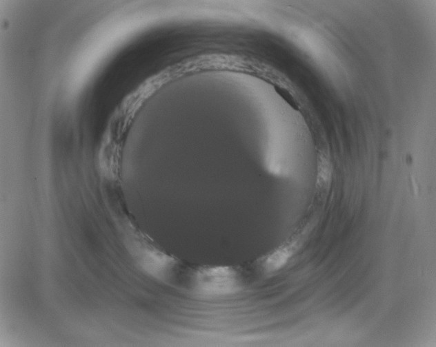 X0000080770431200701021127