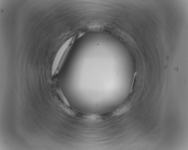 X0000080770432200701021127