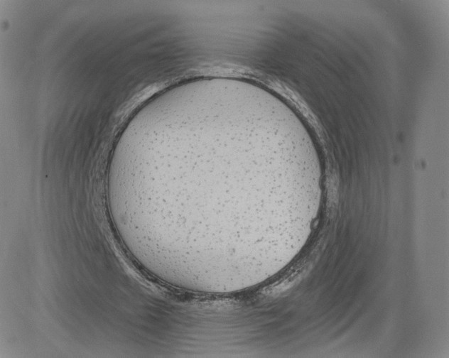 X0000080770433200701021125