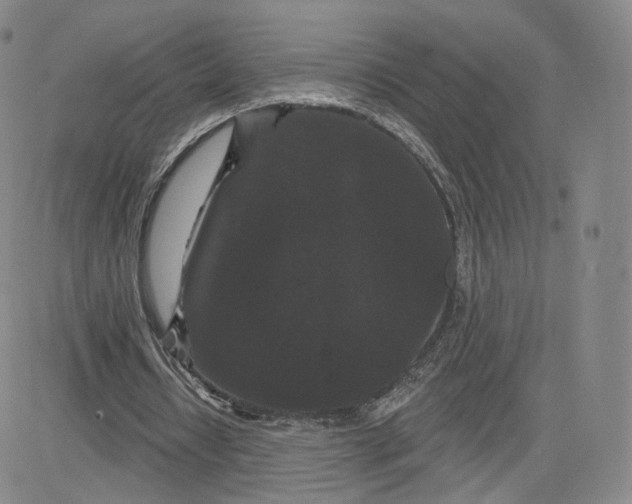 X0000080770434200701021125