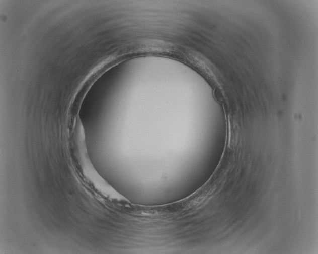 X0000080770435200701021125