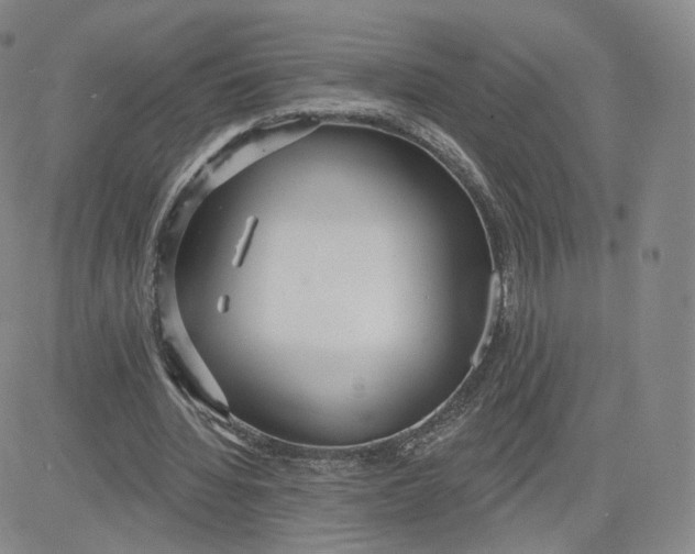 X0000080770436200701021125