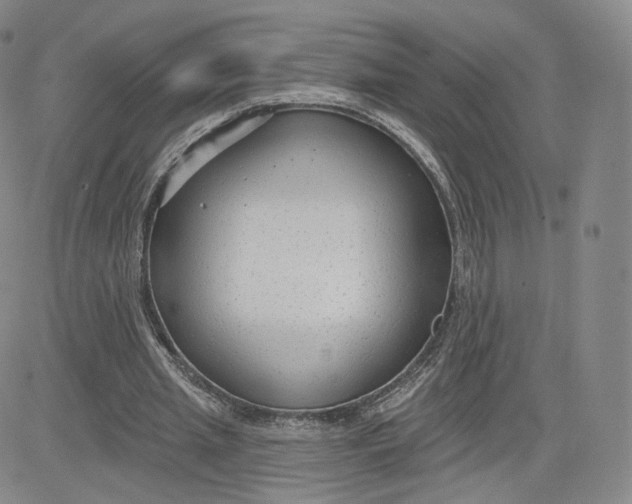 X0000080770437200701021125