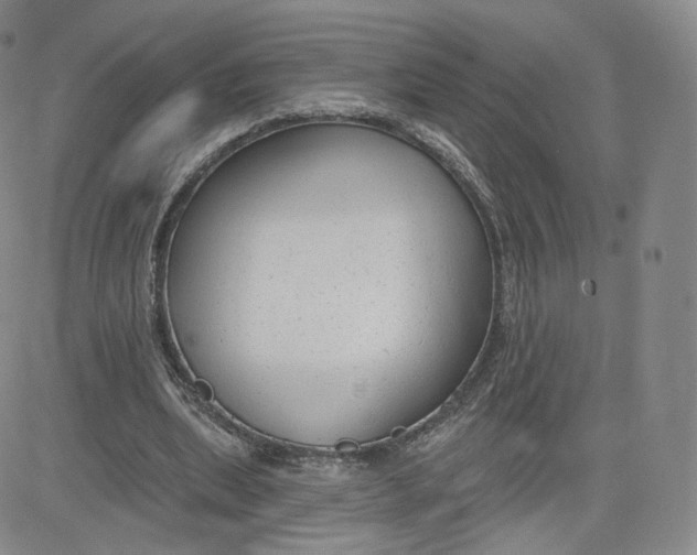 X0000080770439200701021125