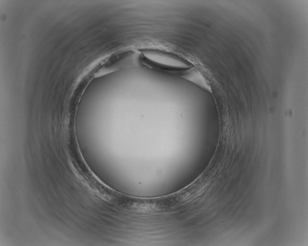 X0000080770440200701021126