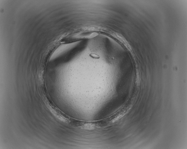 X0000080770441200701021126