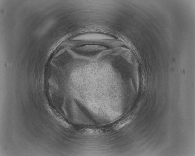 X0000080770442200701021126