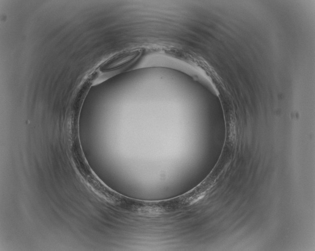 X0000080770444200701021126