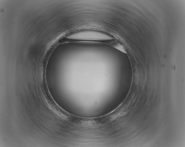 X0000080770446200701021126