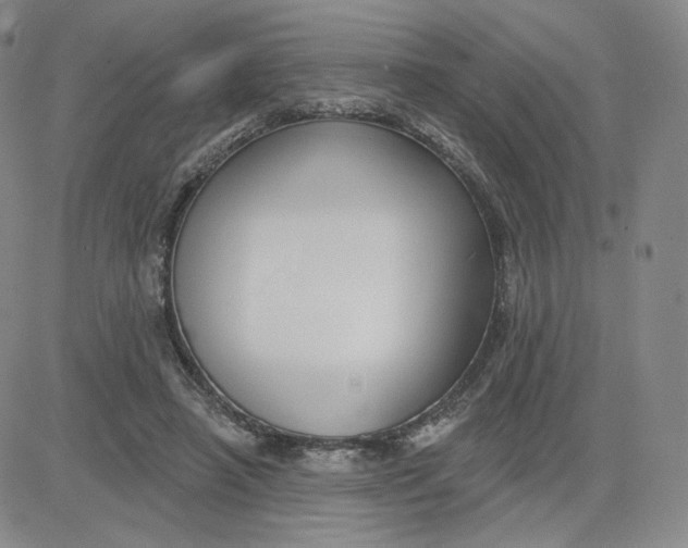 X0000080770450200701021126