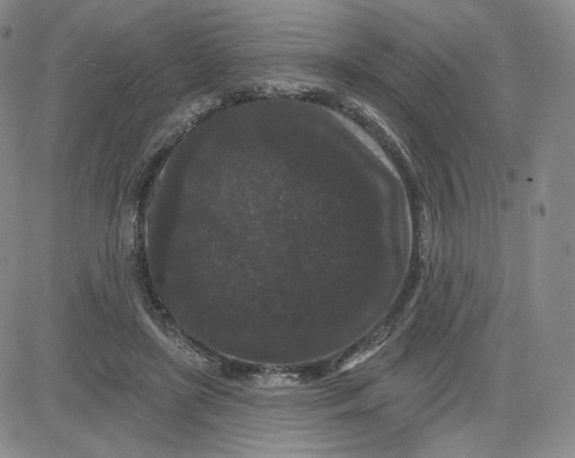 X0000080770451200701021126