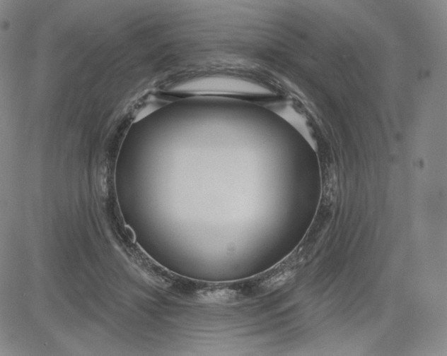 X0000080770452200701021126