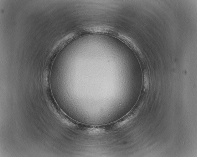 X0000080770453200701021126