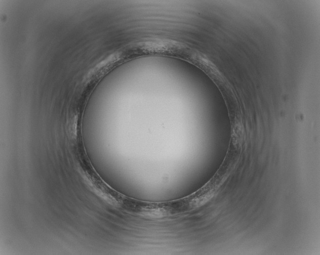 X0000080770454200701021126