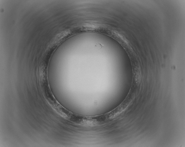 X0000080770455200701021126