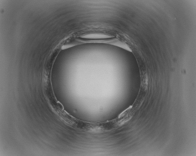 X0000080770456200701021126