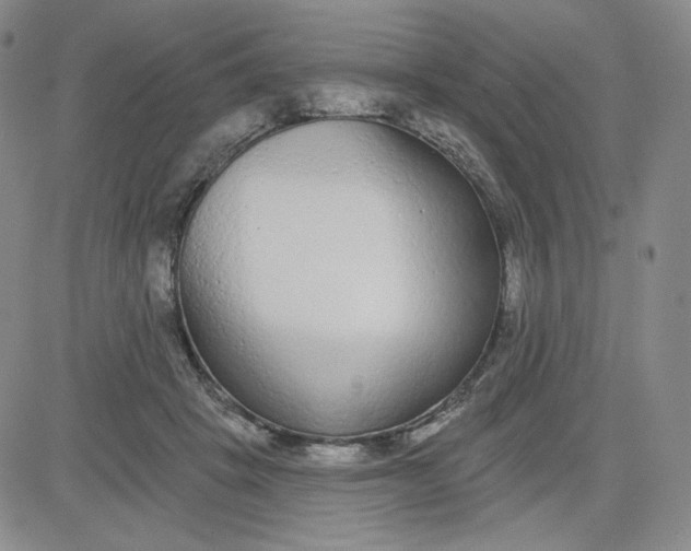 X0000080770457200701021126