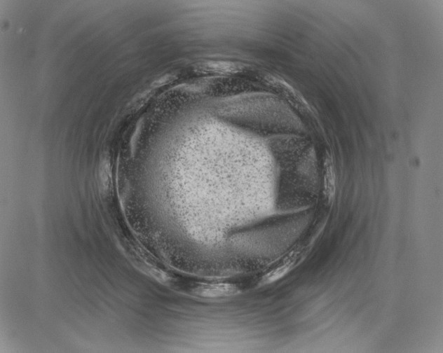 X0000080770459200701021126