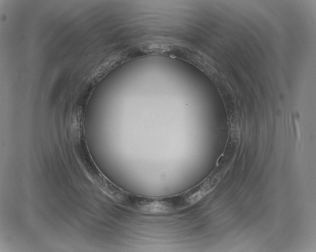 X0000080770460200701021126