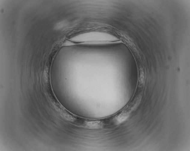 X0000080770461200701021126