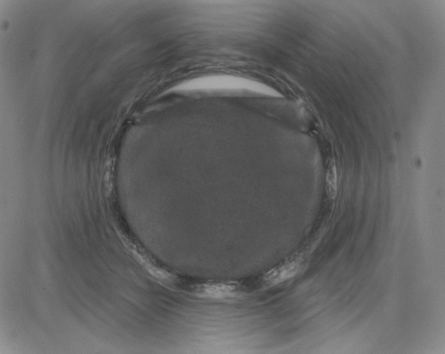 X0000080770462200701021126