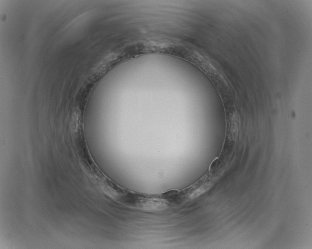 X0000080770463200701021126