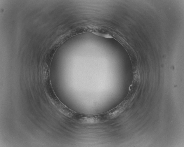 X0000080770464200701021126