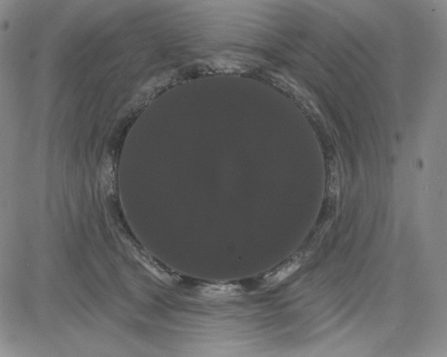 X0000080770465200701021126