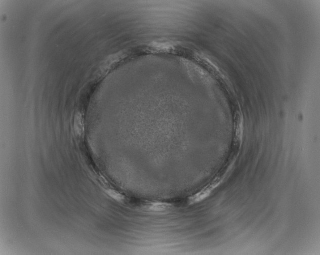 X0000080770467200701021126