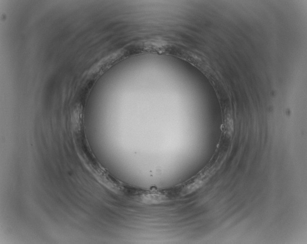 X0000080770468200701021126