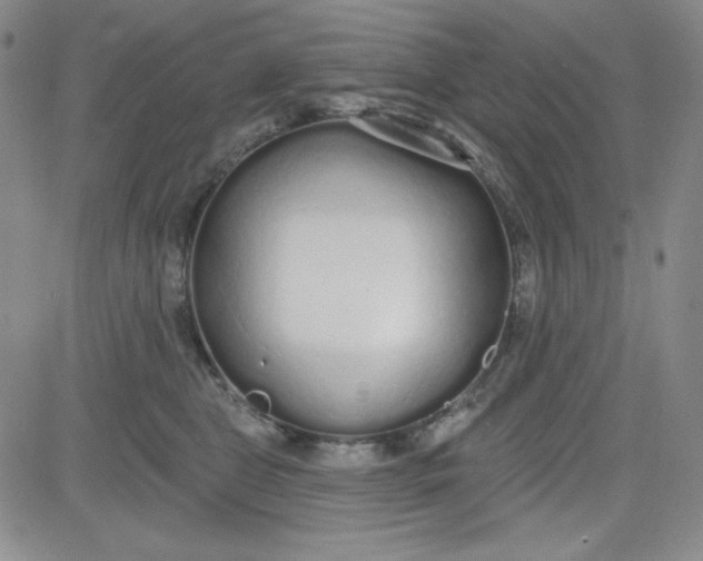 X0000080770469200701021126