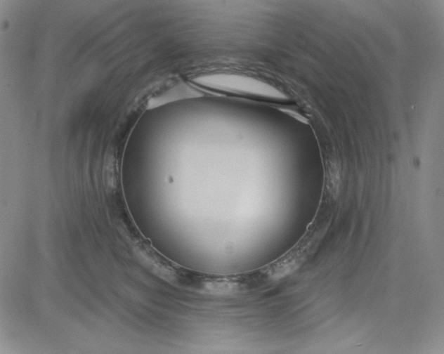 X0000080770470200701021126