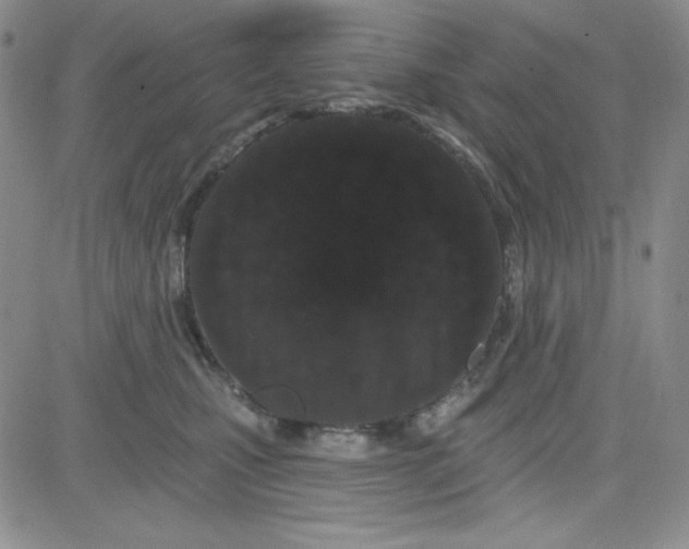 X0000080770471200701021126