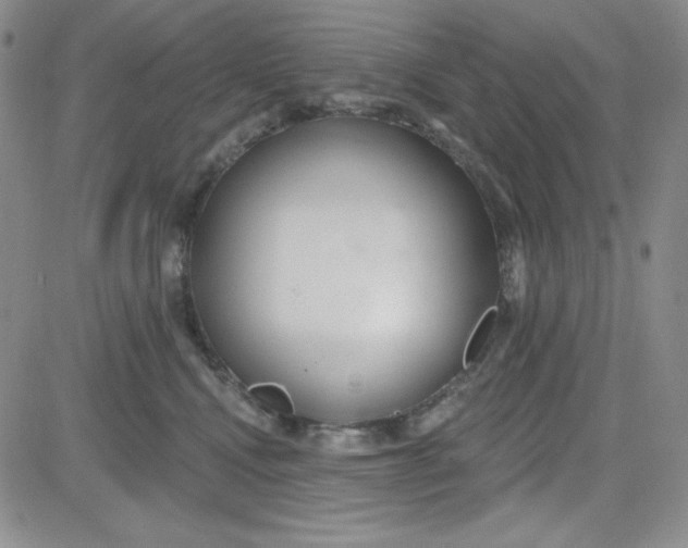 X0000080770472200701021126