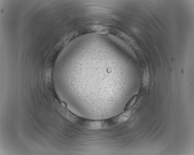 X0000080770473200701021126