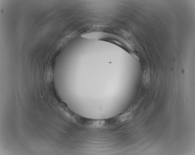 X0000080770474200701021126