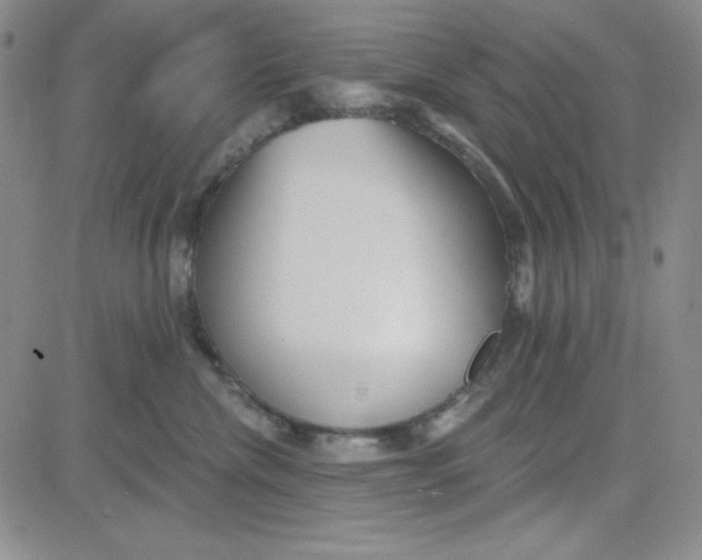 X0000080770476200701021127