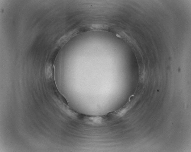 X0000080770478200701021127