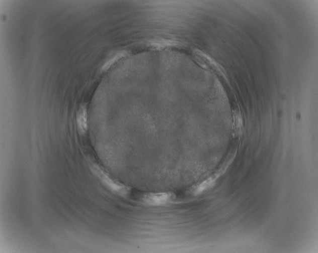 X0000080770479200701021127