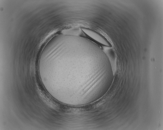 X0000080770482200701021125