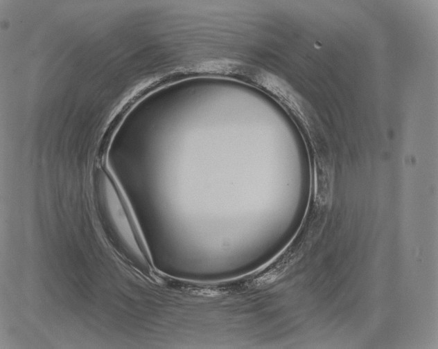 X0000080770483200701021125