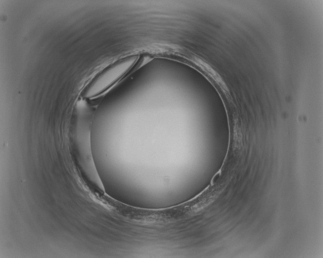 X0000080770485200701021125