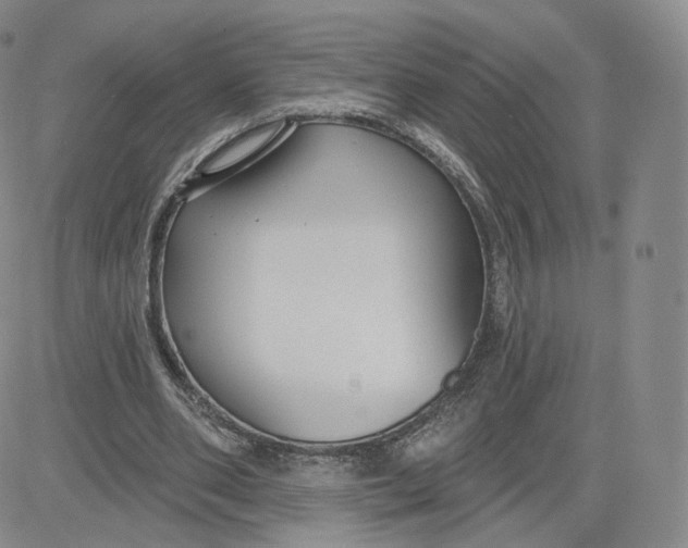 X0000080770486200701021125