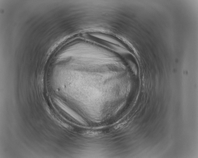 X0000080770487200701021125