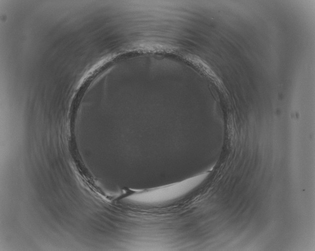 X0000080770488200701021125