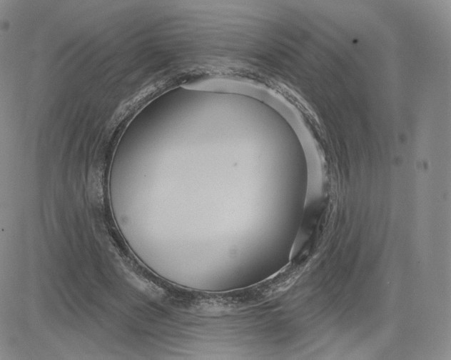 X0000080770489200701021125