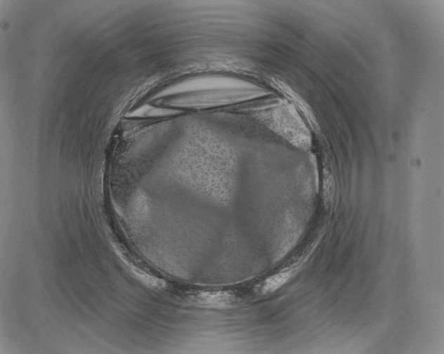 X0000080770493200701021125